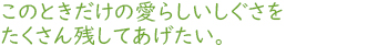 このときだけの愛らしいしぐさをたくさん残してあげたい。